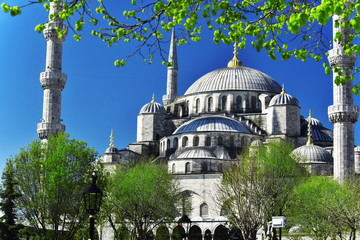 Fototapeta na wymiar Sultan Ahmed Mosque or Blue Mosque in Istanbul, Turkey