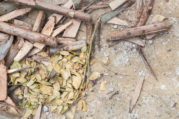 wood pile