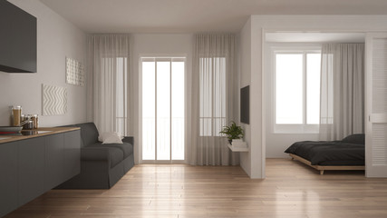 Fototapeta na wymiar Small apartment with kitchen, living room and bedroom, white and gray minimalist interior design