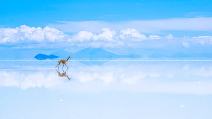 Fotobehang cloud walker © Michael