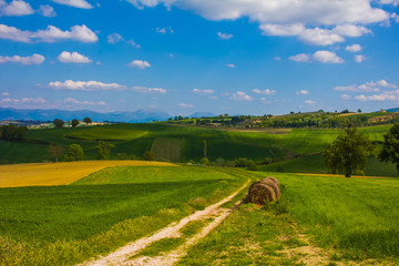 Strada per il paradiso