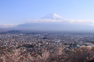 富士吉田市　新倉山浅間公園　富士山と桜