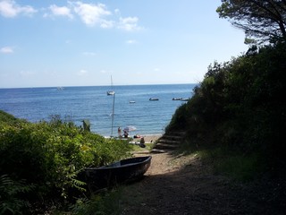 Landscape of elba island 