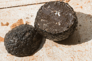 black truffle isolated