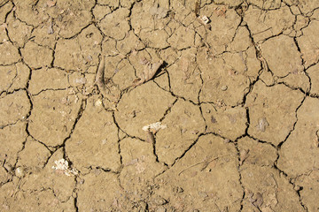 Dry Cracked ground and leaves as nature background