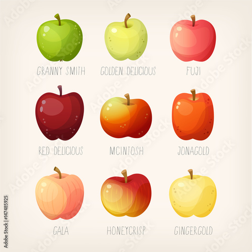 "Set of apples with names. Variety of fruit for different purposes
