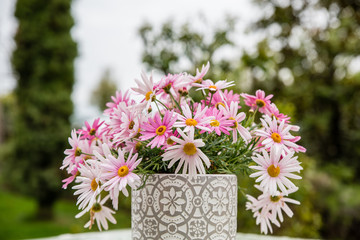 dekorativer Blumentopf 