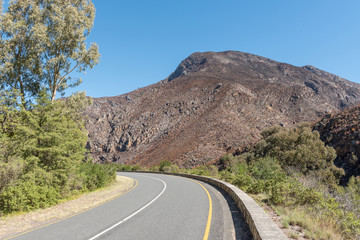 Burnt mountain side in the Tradouw Pass