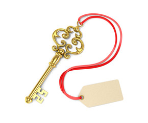 Gold key with tags. 3D illustration