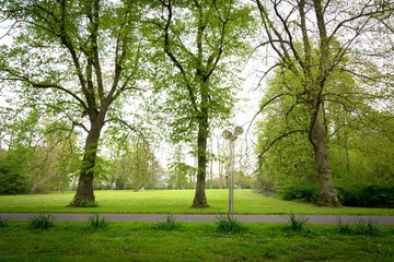 Bäume im  Park Schieder