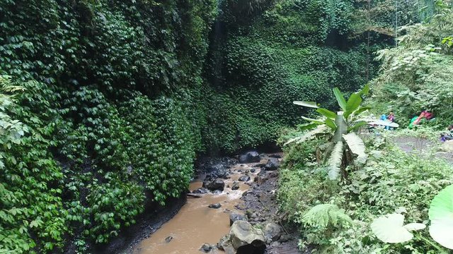 Aerial drone footage tropical river. Island Bali. Madakaripura Waterfall. East Java, Indonesia.