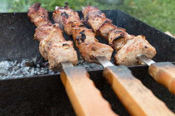 juicy fried meat on skewers outdoors