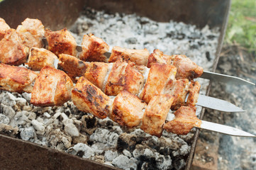 juicy fried meat on skewers outdoors