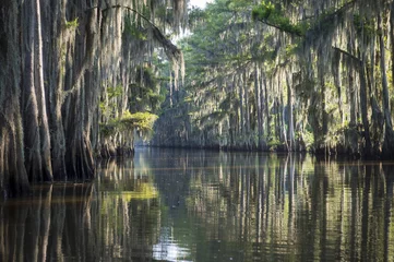 Fotobehang Still misty morning view of the scenic waters of Caddo Lake, the Texas - Louisiana swamp © lazyllama