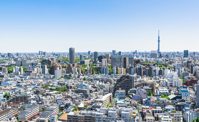 Naklejka premium 東京スカイツリーと都市風景