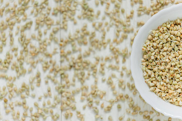 Green buckwheat sprouts. Light background