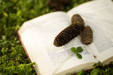 Beautiful coniferous cones, clover and the book lying on the grass