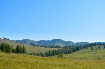 Fototapeta na wymiar Mountain valley with trees and blue sky.