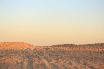 Fototapeta na wymiar Golden desert sand at sunset. Gradient on the horizon