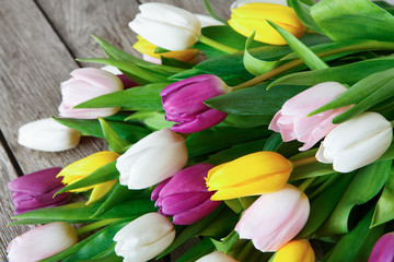 Obraz premium Colorful tulips on rustic wood background