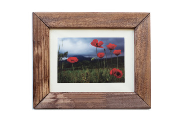 photo of poppies in the mountains in wooden frame