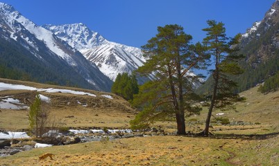 Caucasus in spring