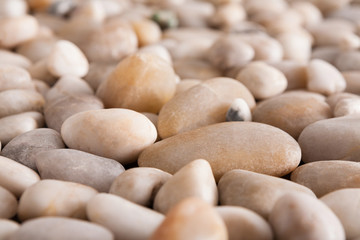 Sea pebbles background, natural seashore stones
