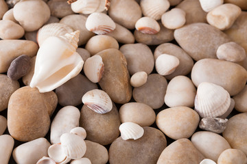 Sea pebbles background, natural seashore stones