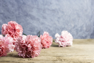 Mothers day concept of pink carnation flowers on old wood