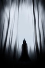 scary cloaked figure ghost in haunted Halloween forest background - obrazy, fototapety, plakaty