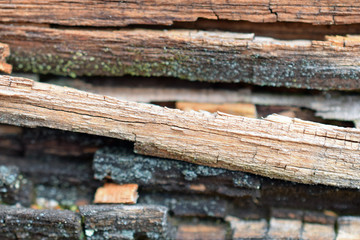Rotten wood texture background