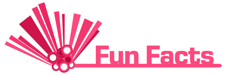 Fun Facts Pink Graphical Bar 