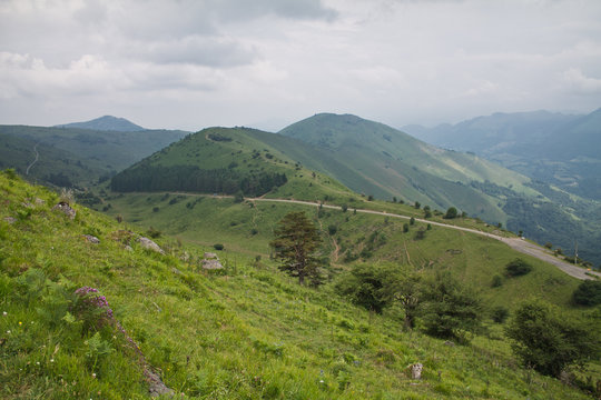 beautiful green valley countryside background in iraty / irati mountains, basque country, france
