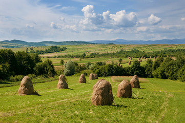 Field with haystacks. Rural landscape; hey rolls on the field at the mountain in Ukraine.