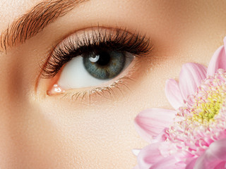 Beautiful macro shot of eye with extreme long eyelashes. Close-up macro of female eye with perfect...