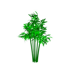 Bamboo tree. Isolated on white background. 3d Vector illustration.