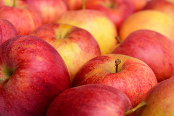 Fototapeta na wymiar many red apples, fresh fruit background with vitamin in market