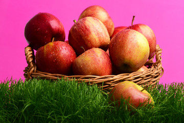 apple red color on fresh green grass in basket