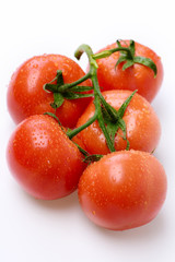 Ripe natural tomatoes on vine. Market fresh vegetable concept