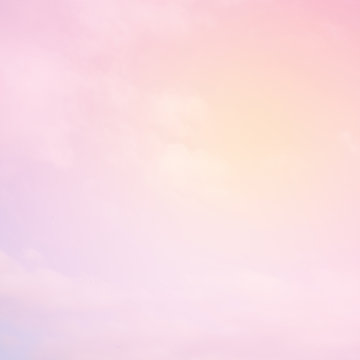 Soft Pink background