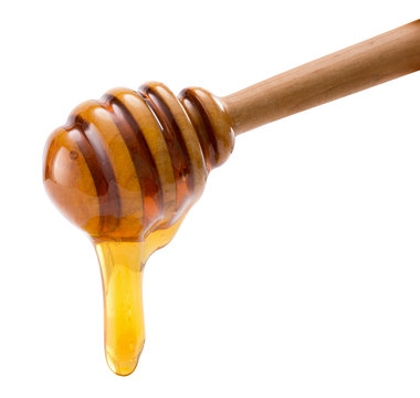 dropping honey isolated on a white background