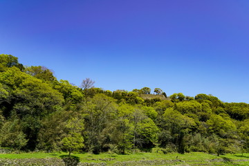 岡城趾　滑瀬古戦場