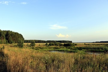 Naklejka premium Лесостепь в Белоруссии летом 