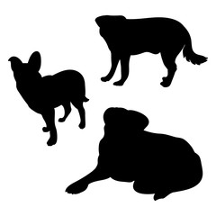 Black silhouettes of dogs on a white background