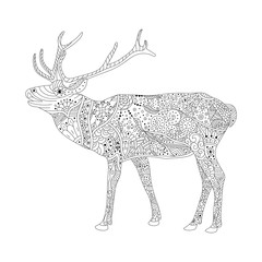 Vector coloring book page for adults. Patterned deer drawing. Hand Drawn doodle vector illustration. Zentangle Style.