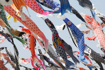 Japanese carp kites, decoration on the Children's Day