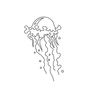 Vector illustration of jellyfish. Hand drawn jellyfish. Line art sea collection
