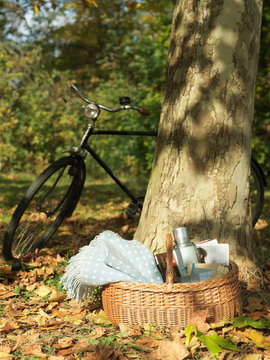 Picnic and bicycle under tree in Autumn