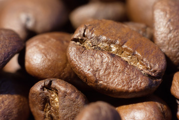 Coffee beans closeup macro view
