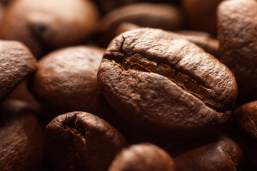 Coffee beans in dark macro